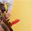Handyman repair service in Glendale, AZ for home fixes and improvements