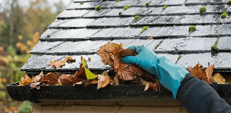Gutter cleaning technician clearing wet leaves from roof gutters in Glendale, AZ